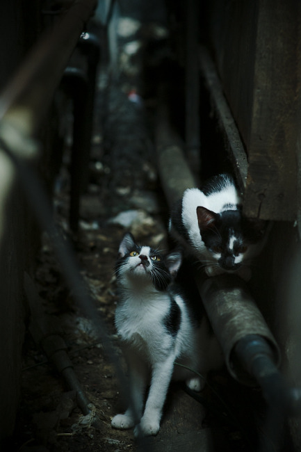 开云官网首页-2016年季后赛第七场：库里的“远距离绝杀”点燃全场！，16年总决赛第七场库里数据